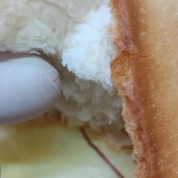Salman Ekmek & Pasta Fırını Ekmekten Kıl Çıkması