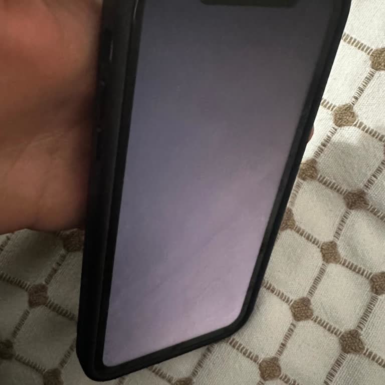 Garanti Ve Yenilenmiş İPhone 11'de Sürekli Siyah Ekran Sorunu Ve İade Talebi