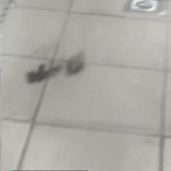 Edirne Selimiye Kız Yurdunun Hali!