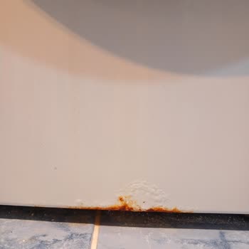 Beko Çamaşır Makinesinde Paslanma Sorunu Ve Değişim Talebi
