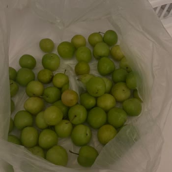 İade Talebi Cevapsız, Siparişte Yanlış Ve Kalitesiz Ürünler