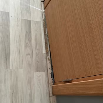 Selimpaşa Konağı Otel Odası İnanılmaz Pis Ve Eskilikten Dökülüyor