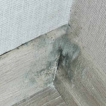 Ona İnşaat Ayıplı Yapı ve Küf Problemi Sağlık Riski
