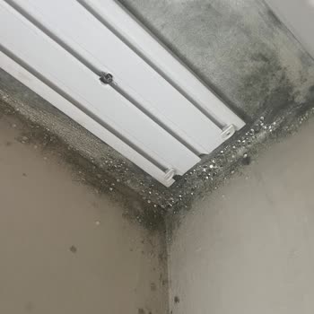 Ona İnşaat Ayıplı Yapı ve Küf Problemi Sağlık Riski