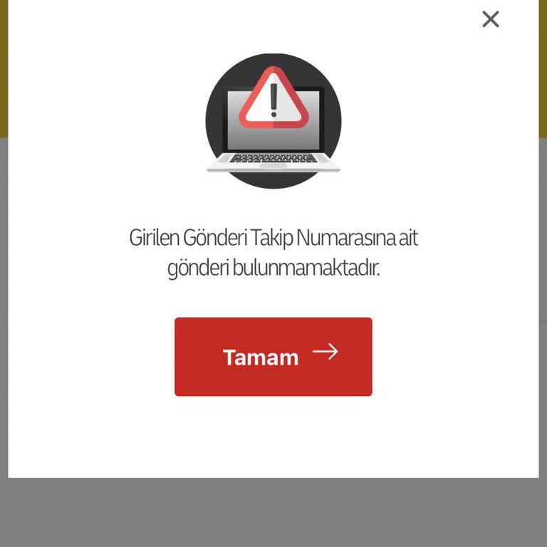 Ödenen 2.299,50 TL Ücret İçin Ürün Teslim Edilmedi, Acil Kargo Ve İade Talebi