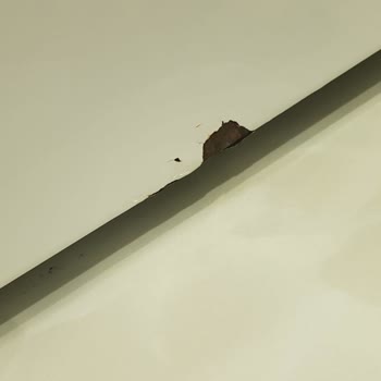 Bosch Appliances Failed Me With Rust and Quality Problems