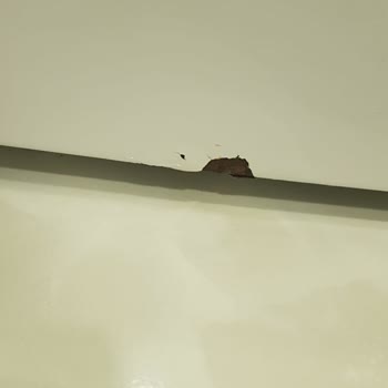 Bosch Appliances Failed Me With Rust and Quality Problems