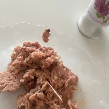 Ton Balığında Kılçık Ve Yetersiz Müşteri Hizmeti
