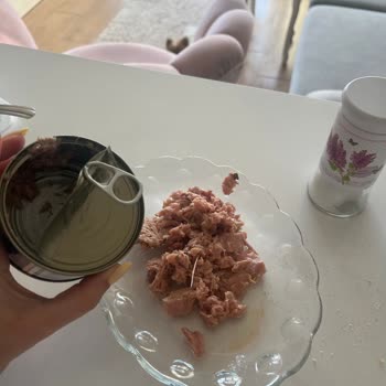 Ton Balığında Kılçık Ve Yetersiz Müşteri Hizmeti