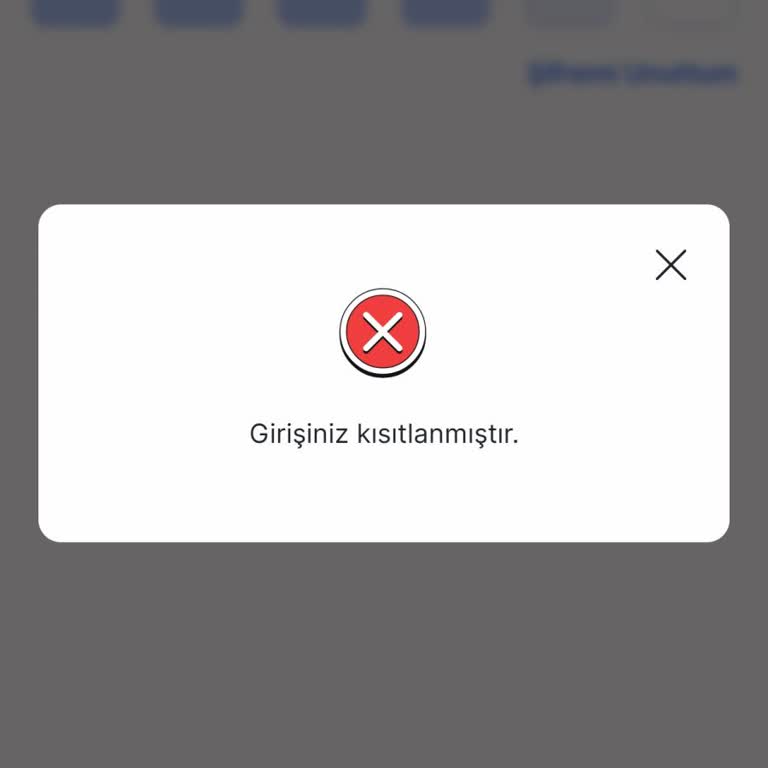 Giriş Kısıtlaması Nedeniyle Iyzico Hesabına Erişemiyorum
