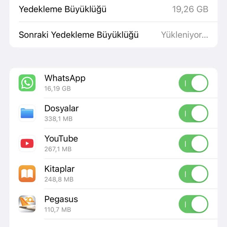 WhatsApp Hesabım Askıya Alındı Ve Bulut Yedeklemesi Geri Yüklenmedi, Tüm Mesajlarım Silindi