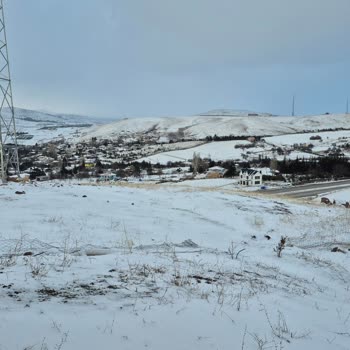 TEAŞ Çalışmaları Tarafından Bahçemdeki Tel Örgü Ve Direklerin Yok Edilmesi Ve Tamir Talebi