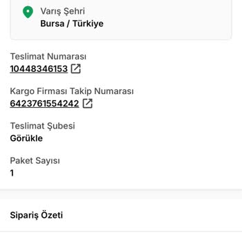 Aras Kargo Geciken Gönderim Hakkında Bilgi Eksikliği Ve Acil Teslim Talebi