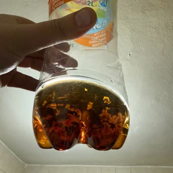Lipton Ice Tea Şeftali Aromalı İçinde Yabancı Cisimler Görüldü Ve Sağlık Riski Oluştu
