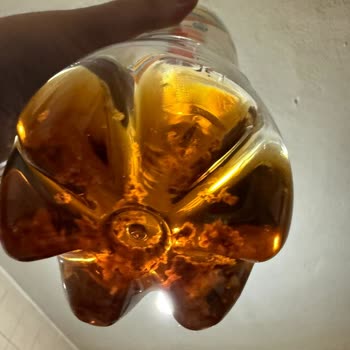 Lipton Ice Tea Şeftali Aromalı İçinde Yabancı Cisimler Görüldü Ve Sağlık Riski Oluştu