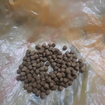Hepsiburada'da Kuzu Etli Kedi Maması İçerik Yanıltması Ve İade Reddi