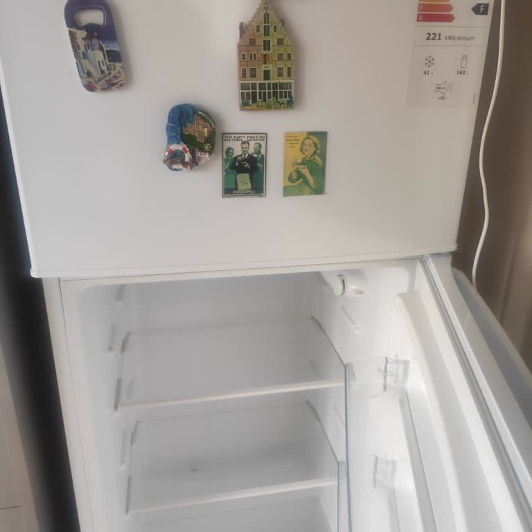 Buzdolabım Pert, Servis Bekleyişi Aylarca Sürdü Ve Şirketten Yanıt Gelmedi