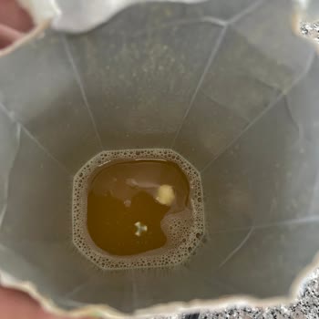 Avantaj Gıda Şeftali Nektarında Yabancı Maddeler Ve Sağlık Tedirginliği