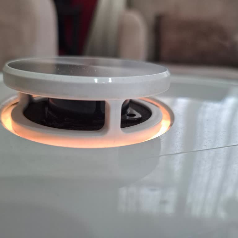 Garanti Kapsamındaki Arızalı Robot Süpürge İçin Değişim Veya İade Talebi