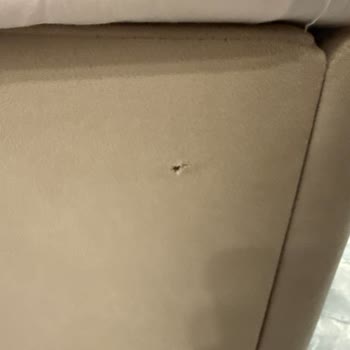 Enza Home Baza Ürünün Hızlı Yırtılması Ve Değişim Gecikmesi
