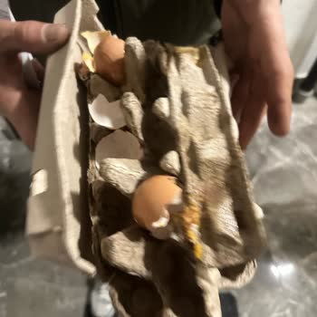 Kırık Yumurta Ve Hijyen Riski Nedeniyle Migros'tan Çöpten Teslim Alma Zorunluluğu