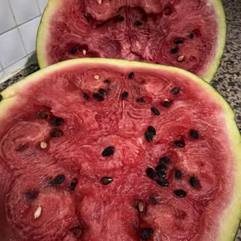 Ayıplı Karpuz İçin Tam İade Talebi