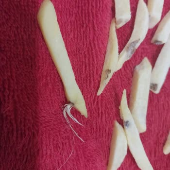 Superfresh Dondurulmuş Patateslerde Siyah Uçlar Ve Yabancı Madde Görüldü