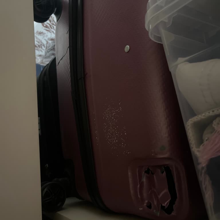 Valiz Tekerliği Kırıldı, Türk Hava Yolları Yardımsız Ve Cevapsız