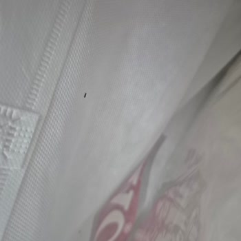 Böcekli Ve Yıpranmış Çeyiz Seti İçin Tam İade Talebi