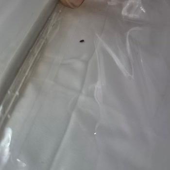 Böcekli Ve Yıpranmış Çeyiz Seti İçin Tam İade Talebi