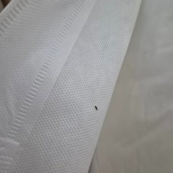 Böcekli Ve Yıpranmış Çeyiz Seti İçin Tam İade Talebi