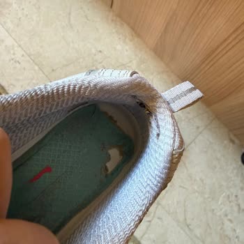 Skechers Kadın Ayakkabısında 6 Ayda Çatlak, Yırtık Ve Yara Sorunu: İade Talebi