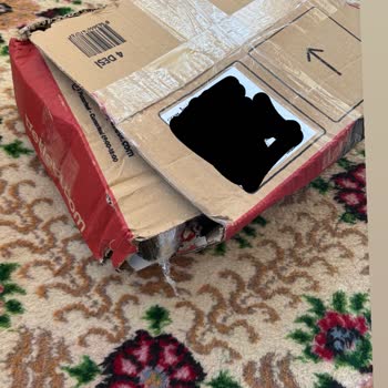 Petlebi Kırık Ürün Gönderimi Ve Yetersiz Çözüm Teklifi Müşteri Memnuniyetini Zedeliyor