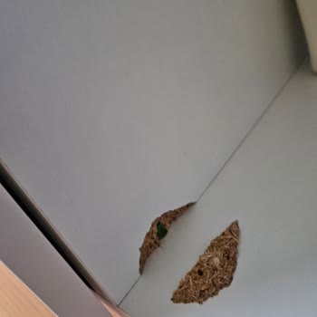 Hepsiburada Teslimatında Zorlayıcı Erken Teslim Ve Ürün Çatlaklarıyla Montaj Ücret Talebi