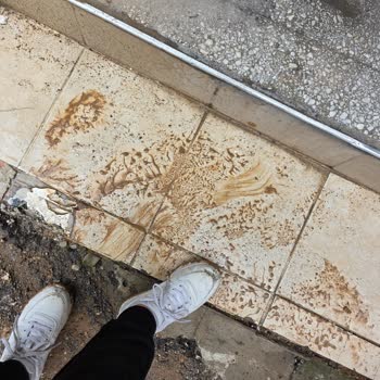 Kanalizasyon Çalışması Sonrası Çamurlu Sokak Ve Kırık Kaldırımlar İçin Acil Asfalt Ve Onarım Talebi