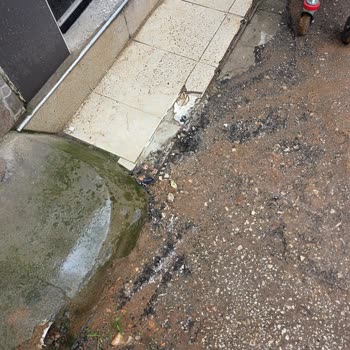 Kanalizasyon Çalışması Sonrası Çamurlu Sokak Ve Kırık Kaldırımlar İçin Acil Asfalt Ve Onarım Talebi