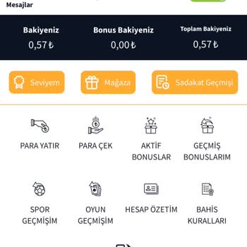 Doğum Günü Bonusunun Tanımlanmaması Ve Destek İhmali