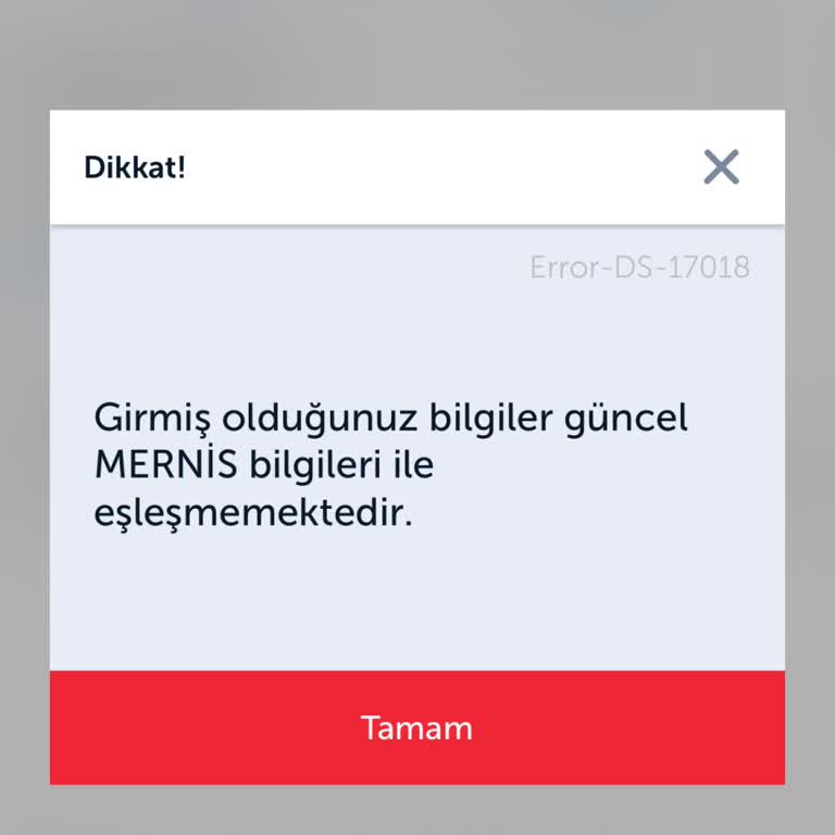 İstanbul Amasya Uçuşumda Online Checkin Sorunu Ve Yardımsız Müşteri Hizmetleri