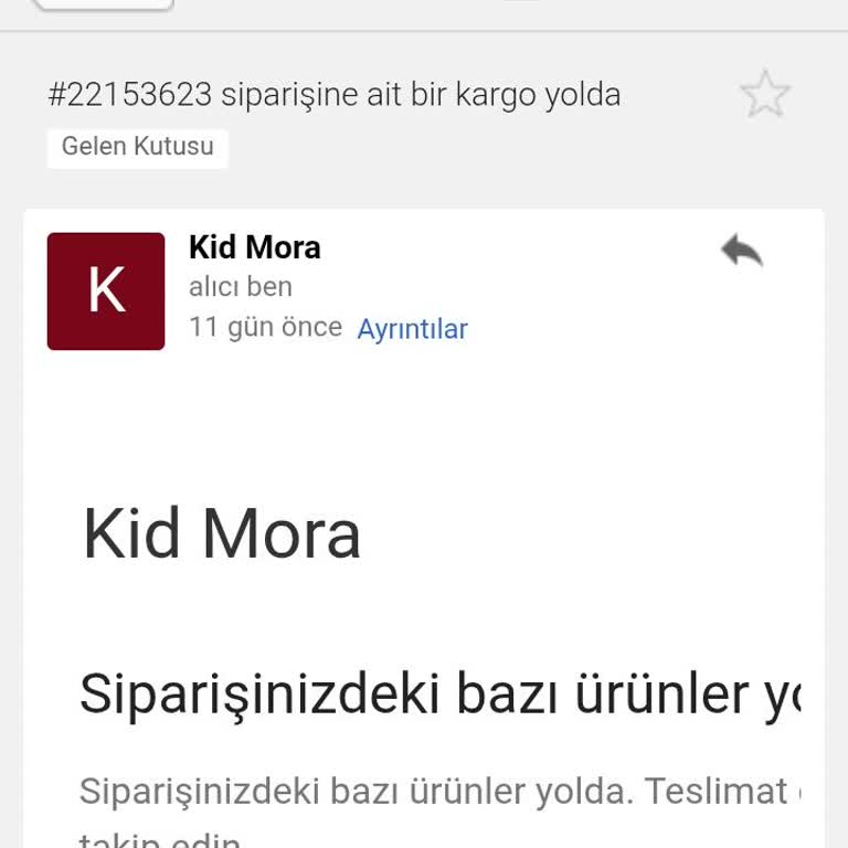 Kargo Takibi Yok, Site Kapatıldı; 11 Gün Geçmesine Rağmen Siparişim Gelmedi