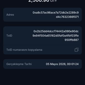 Chiliz Chain Üzerinden City Token Transferi Binance’e Yansımıyor