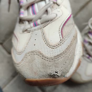 Ayıplı Skechers Ayakkabısı Ve Mağazaya Geri Dönüş İmkânsızlığı