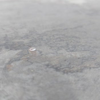 Yıldız Entegre'den Bozuk Mat Lak Panel Teslimatı Ve Çözüm Yokluğu
