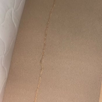 Kırılan Karyola İçin Ücretsiz Onarım Ve Değişim Talebi