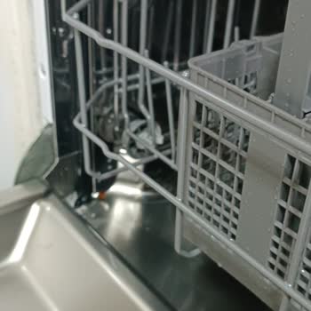 Sürekli Yanıp Sönmeyen Tuz Işığı Ve Paslanan Bulaşık Makinesi İçin Değişim Talebi