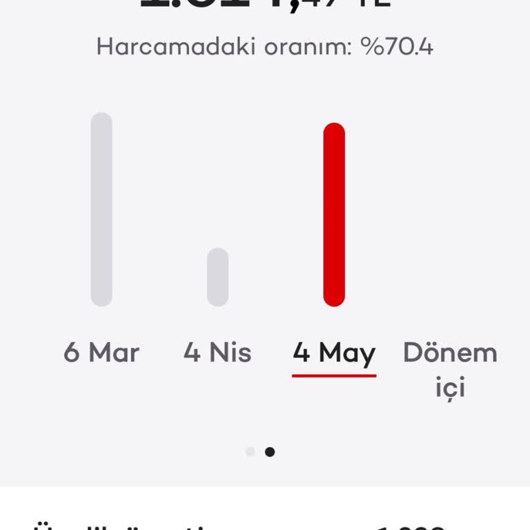 Akbank Axess Kredi Kartından İzinsiz Kesilen 1.390 TL Aidatın İadesi