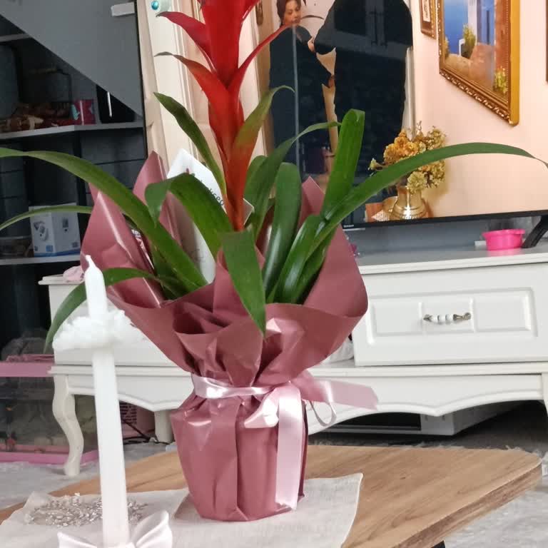 Teslim Edilmediği Siparişin Yanıltıcı İşareti Ve Kuryenin Saygısız Tavrı