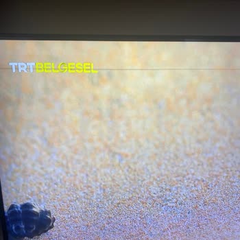 Garanti Kapsamındaki TV’de Çizgiler Çıktı, Parça Değişimi Reddedildi