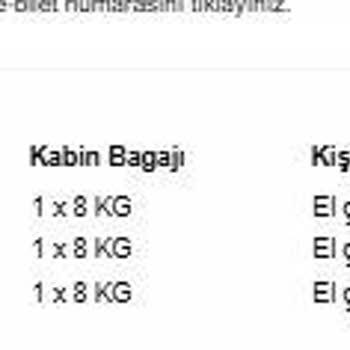 Bebek Kabin Bagaj Hakkı Yanıltıldı, 150 Dolar Ek Ücret Talep Edildi