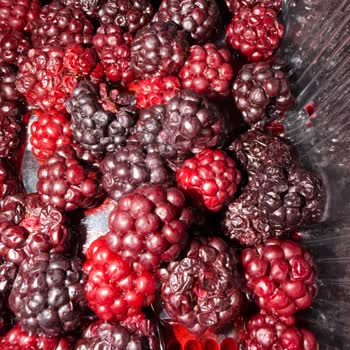 Bozuk Organik Ürünler Ve İade Sürecindeki Yanıltıcı Bilgilendirme
