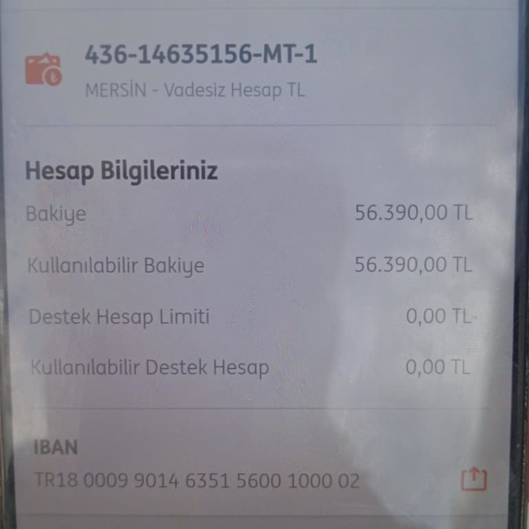 Haciz Var Uyarısı Nedeniyle ING Bank Vadesiz Hesabım Kullanılamıyor
